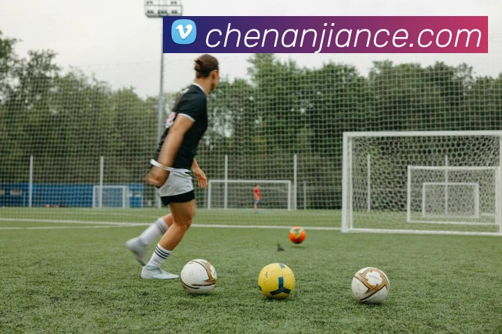 九游官网入口网页版下载安装平台生态图